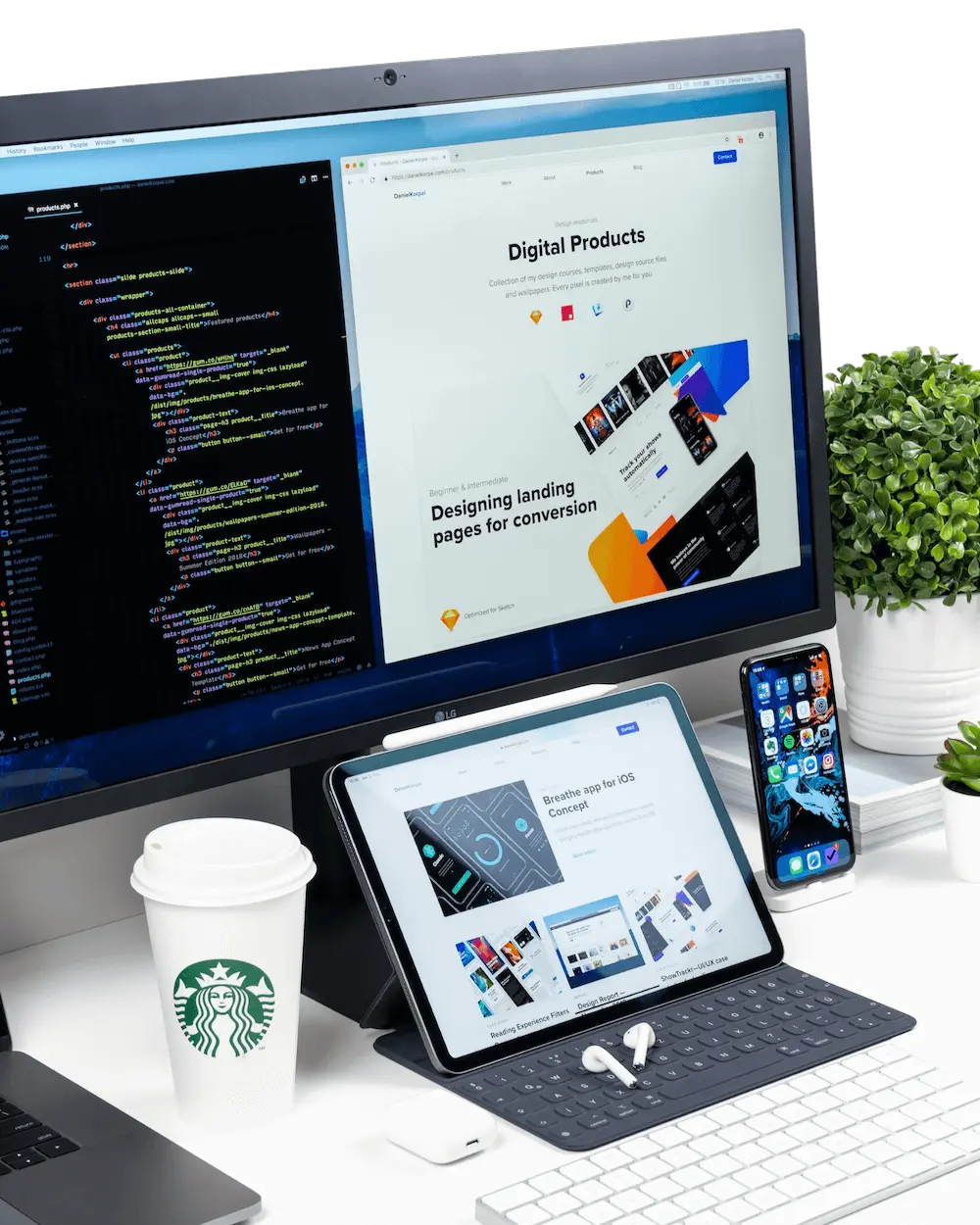 Web Development